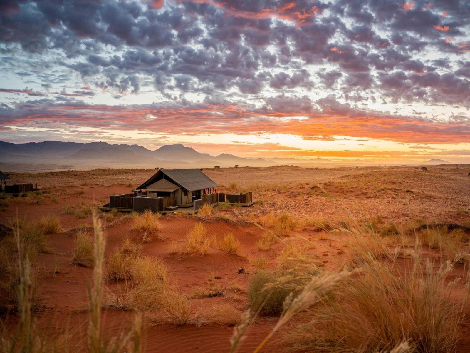 Wolwedans Dune Camp NamibRand Extérieur photo